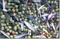Olive oil